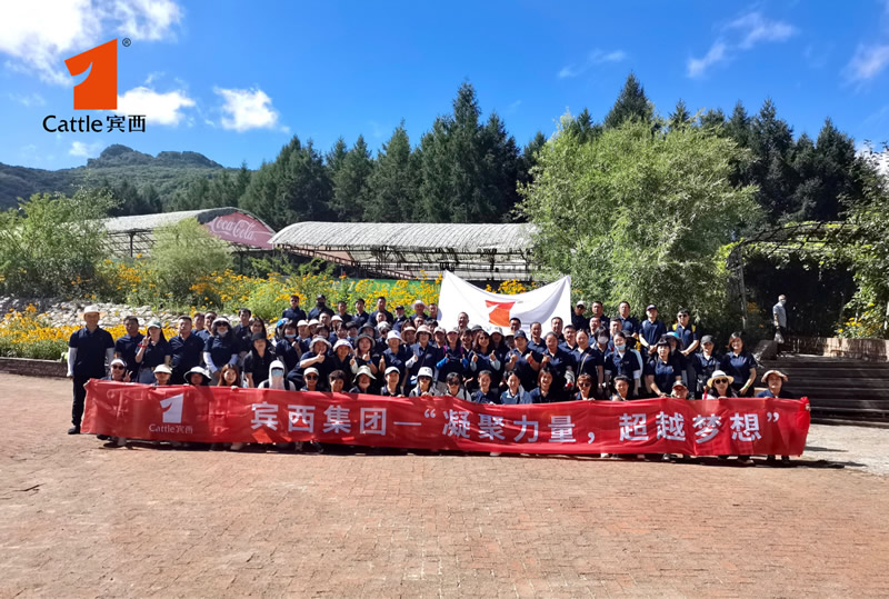 1658302312944117.jpg 1.jpg